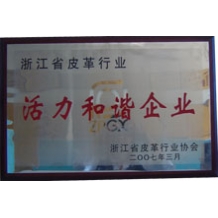 Honorary certificate